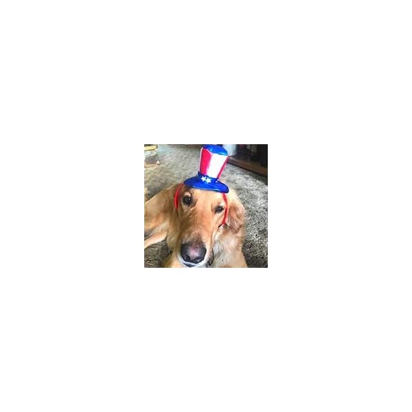 Midlee uncle sam 4th of july hat for large dogs headband- captain halloween costume - image 6