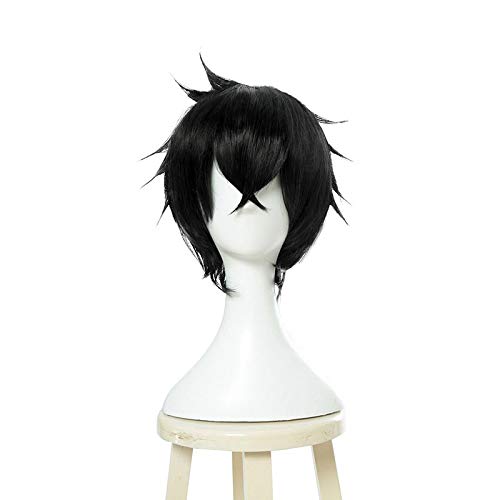 Anime cosplay peluca Tate No Yuusha No Nariargari Naofumi Iwatani Cosplay pelucas de 11 pulgadas corto negro pelo sintético Perucas Cosplay peluca