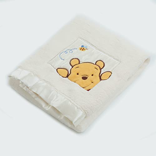 Image of Danica Soft Coral Fleece Baby Blanket, Cute Animal Pattern, 40 inch X 30 inch Cozy, Comfortable & Warm (Ivory) Winnie Bear