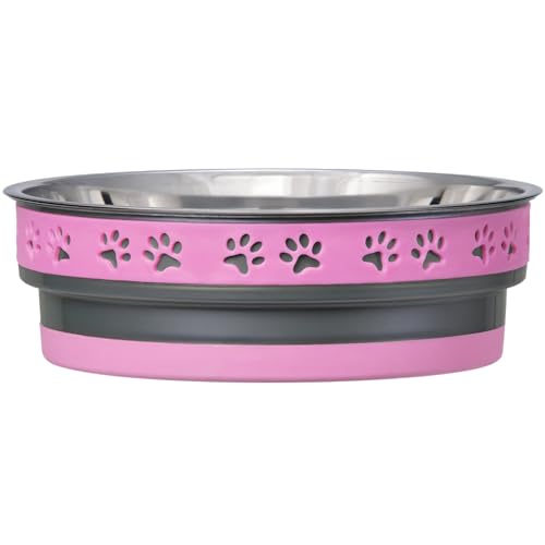 Loving Pets Corsa Pet Bowl for Dogs, Small, Fiery Pink