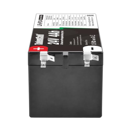 TalentCell 24V 4Ah LiFePO4-Akku, 96Wh Deep Cycle Wiederaufladbar Lithium-Eisenphosphat-Batterie für Trolling Motor, RV, Toy Car, Camping, Solar System, DIY Project