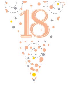 FANCYDRESSCOZ 9ft Bunting Banner Pennant Flag Sparkling Fizz 18th Birthday White and Rose Gold Holographic