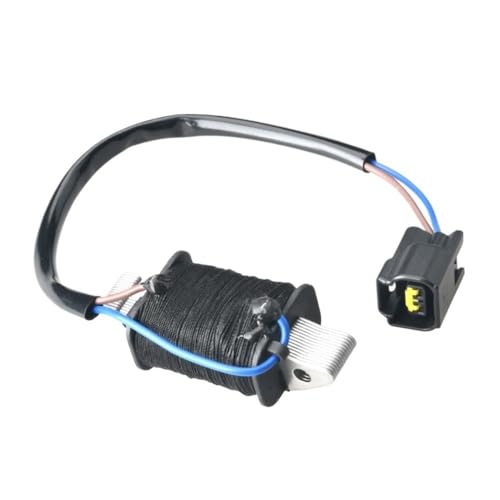 Bobine de charge pour moteur hors-bord Yamaha 60 et 70 CV 6H2-85520