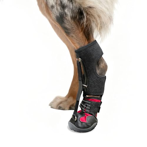 Strap-On Drop Foot Brace for Dogs