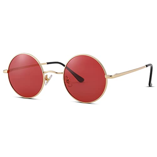 Image of Pro Acme Small Round Polarized Sunglasses for Women Men Retro Metal Shades