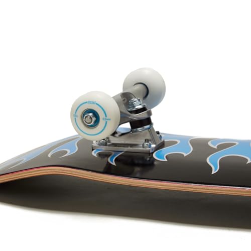 Image of [CCS] Skateboard Complete | Maple Wood | Professional Grade | Fully Assembled with Skate Tool & Stickers | Adults, Kids, Teens, Youth | Boys & Girls