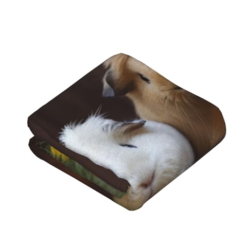 Couverture polaire cochons d'Inde idéale pour vos soirées cocooning sur le canapé - 4
