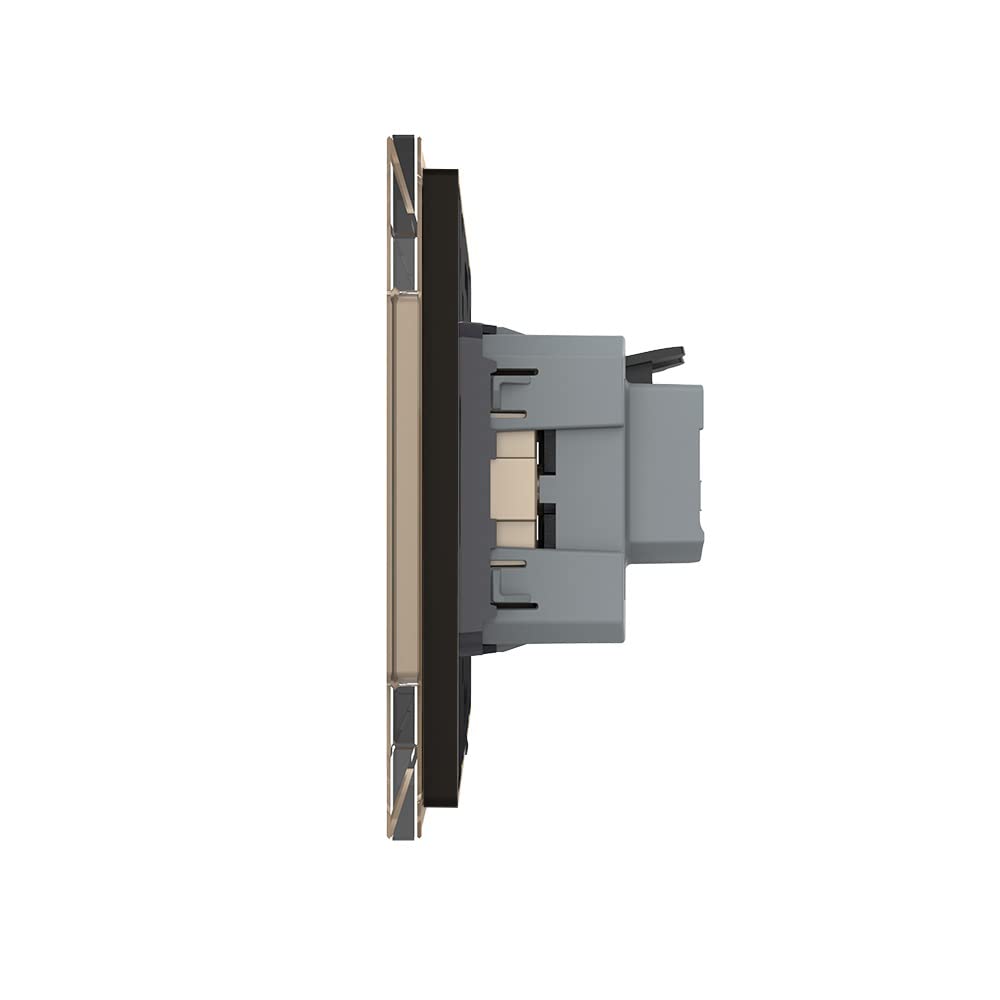 Livolo, presa Schuko da incasso, doppia presa da parete + presa di rete LAN, Duplex RJ45, presa dati Ethernet, con cornice in vetro (oro)