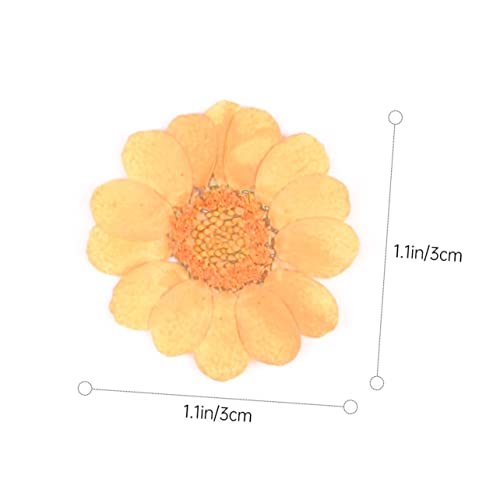 Kit artesanal LIFKOME 40 piezas flores secas para decoración miniatura 2