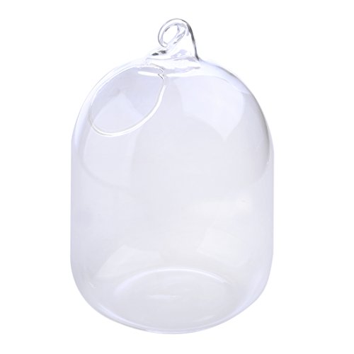 Haoun Hanging Betta Fish Tank Creative Fish Vase Glass Transparent Goldfish Bowl Home Decoration Bracket (White Bracket) #TOP5