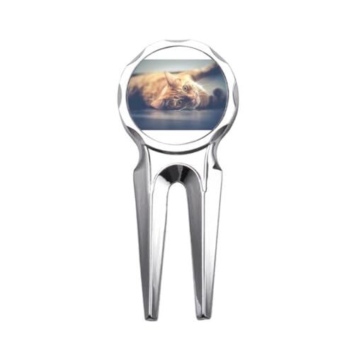 ̉F̔Lʐ^ StfB{bgc[ St{[}[J[Cc[