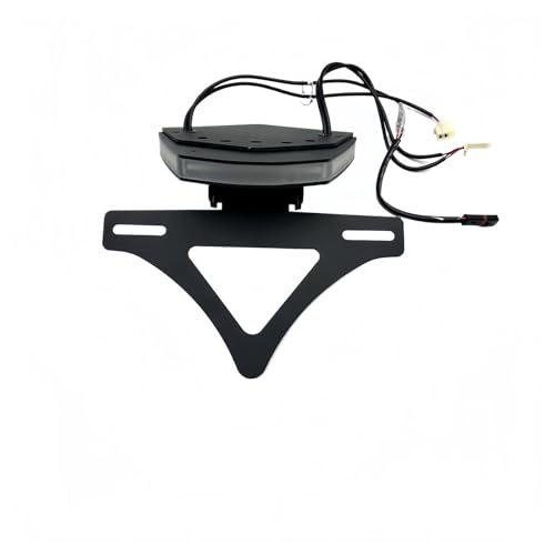 Support plaque immatriculation moto BMW S1000RR feu arrière éliminateur garde-boue 2023-2025