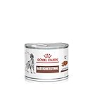 ROYAL CANIN Veterinary Gastrointestinal Mousse | 12 x 200g | Complete Dietary Food for Adult Dogs | for Digestive Support | High Energy