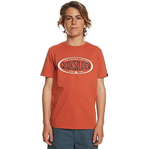 Quiksilver Camiseta Chicos Marrón M/12 Cover