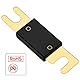 Heschen Auto Audio Video Stereo ANL-Sicherungshalter, 0/2/4 Gauge In und Out, mit Ampere ANL Sicherung (180A)
