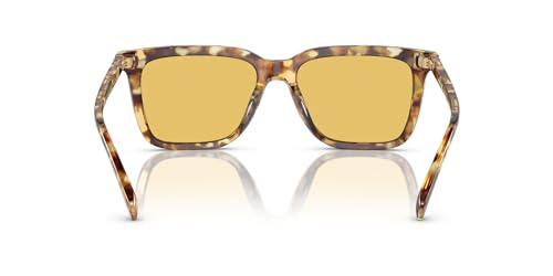 Coach Men's Hc8385u Universal Fit Square Sunglasses4