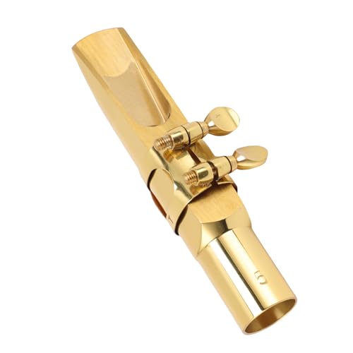 Porte-parole Saxophone Ténor Walmeck pour Débutants et Professionnels en Concert