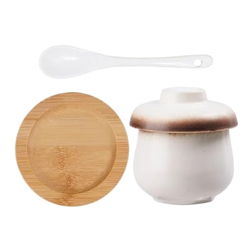 Pentola per stufato in ceramica, 250 ml, piccola in ceramica per zuppa con coperchio e cucchiaio, da cucina per uova e noodles - per uova, verdure, zuppe, dessert e snack