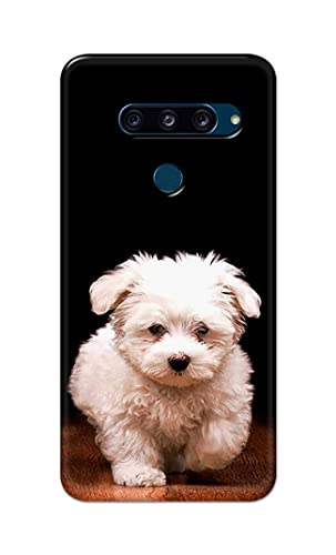 Image of PRINTFIDAA� Printed Hard Back Cover Case for LG V40 ThinQ Back Cover (Puppy Dog) -2808