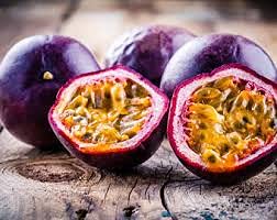 10 Laurel Tree Seeds