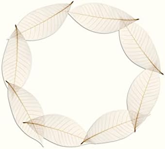 CoolPrice Skeleton Natural Dried Rubber Leaves Artificial Leaves Craft Card Scrapbook Diy Handmade Embellishment For Decoration Art 100 Pcs. image 5