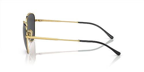 Vogue Eyewear Women's Vo4232s Butterfly Sunglasses3