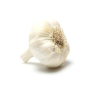 Organic Garlic