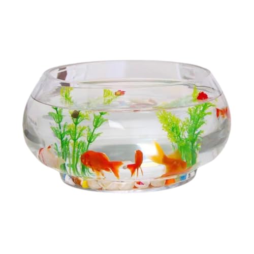 zornik  ی^ KX     ϗtA e  CeA IuWF ԕr t[x[X (x[Xt20cm)