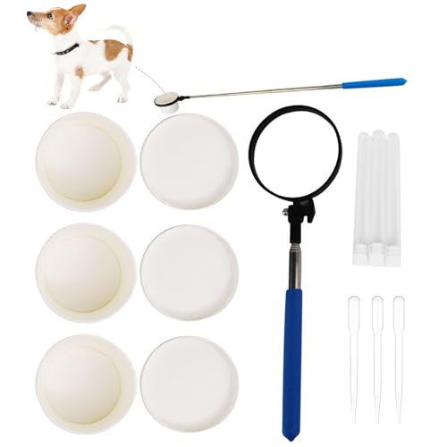 Recolector de orina para perros - Recogedor de orina para perros, recogedor de orina extensible para perros, barra de orina reutilizable de acero inoxidable, kit de prueba de orina de embarazo para