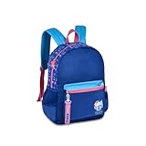 MOCHILA ESCOLAR JUVENIL DE COSTAS AZUL DIVERTIDA INFANTIL MASCULINA FEMININA GRANDE PASSEIO