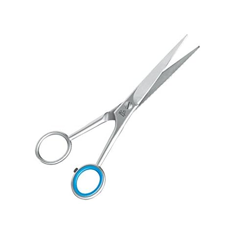 Premax F82650500S Professional Hairdressing Scissors, Stainless Steel, 125 mm-5 inch Cover