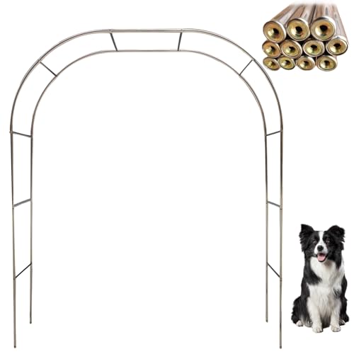 Arc en Acier Inoxydable Extérieur Intérieur Jardin Mariage 230/240cm pour Plantes grimpantes en Plein Air Rose Arc Treillis (Color : 19mm, Size : 1.2x2.3m)