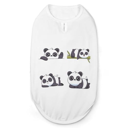 ybg  p_  ybgEFA TVc p[J[ Ȃ ̕ ^Ngbv ^Ngbv N[xXg ʋC t@bV S-2XL