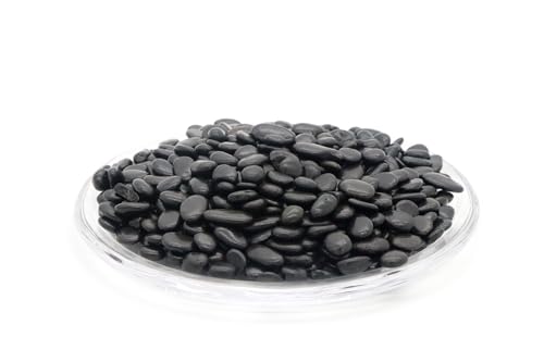 OXXNGA fRXg[ ubN 20kg