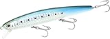  LUCKY CRAFT Saltwater Jerk Minnow Köder SW Flash Minnow 110SP