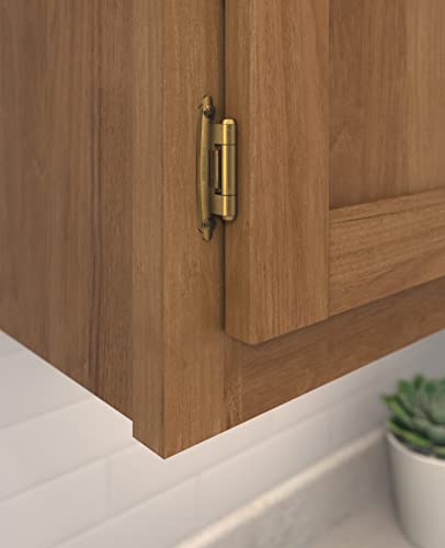 Amerock | Cabinet Hinge | Variable Overlay Hinge | Antique Brass | 2 Pack | Self-Closing Hinge | Face Mount Hinge | Cabinet Door Hinge #TOP1