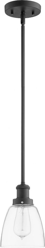 Quorum 878-169 Transitional One Light Pendant in Bronze/Dark Finish,