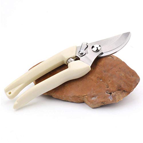 Forbici da potatura in Acciaio Inossidabile, Forbici da potatura, cesoie per Alberi Resistenti, cesoie Versatili per Prato e Giardino