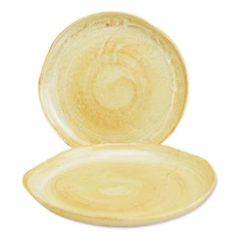 RORO Ceramic Stoneware Organic Plates Set Cover
