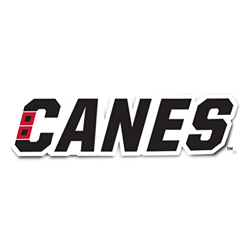 Calcomanía NHL Carolina Hurricanes para botella de agua y coche 2