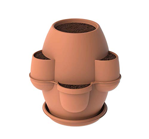 LGVSHOPPING Bama Oasi Blumenkasten mit 6 Taschen Perimetrale und unter Vase 80 x 80 cm Cotto Chiaro Cover