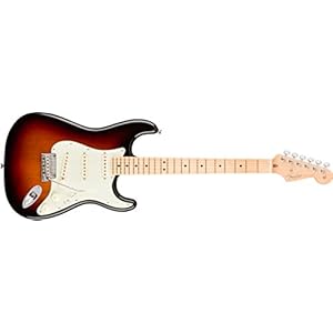 American Professional Stratocaster Ash MN Sienna Sunburst