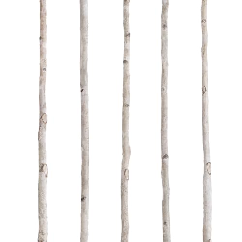 Fiwochic 5 Pcs White Birch Poles 4 ft 1-1.5 Inch Diameter Natural Wood Sticks Twigs for Crafts Branches Home Decoration Holiday DIY Creative Projects