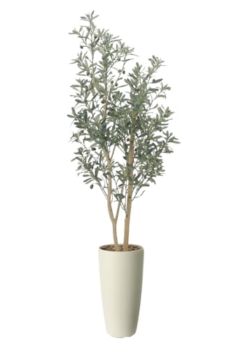 ���̊y�� �t�F�C�N�O���[�� ���� �X�����I���[�u1.6m 2519R400