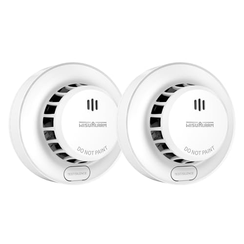 Image of Smoke Alarm 10 Years Lifepan, 5 Years Battery, Smoke alarms for Home, with Replaceable Battery, Fire Alarm Test/Silence Button, Smoke Detector, 85dB, Conforms to EN14604, UKCA (2PCS)