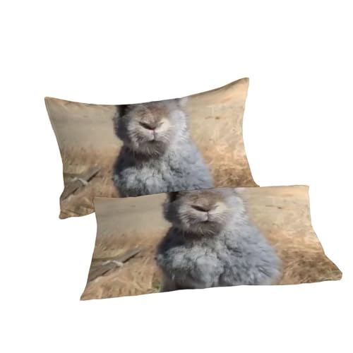 Taies d'oreiller filles parure de couette lapin 3D microfibre