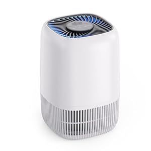 Air Purifiers for Home with H13 Tru...