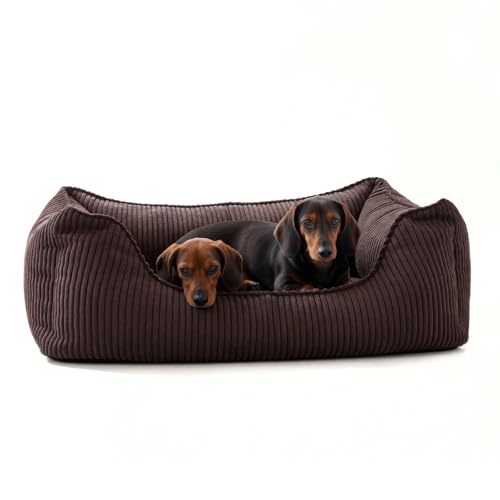 PAW WOW Anton Hundebett | Orthopädisches Hundebett | Hundekörbchen für kleine und mittelgroße Hunde (Braun, 85x65cm)