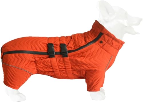 JoyeeLii pXm[WPbg _b h gpR[gNXtg rt ˌxXg Wbp[t ~H R[M[ ߉\ȉOph (IW,D-L)