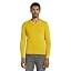 11853 - Californian Yellow